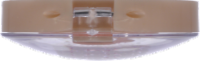 Maybelline Dream Bouncy Coffee Cake Blush Perspective: top