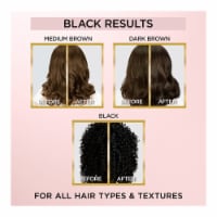 L'Oreal Paris Le Color Gloss Deep Black Toning Gloss Perspective: Main