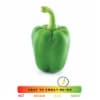 Large Green Bell Pepper