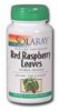 Solaray Red Raspberry Leaves Capsules 400mg Perspective: Main