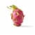 White Dragon Fruit Perspective: back