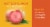 Mottled Plumcot Perspective: back