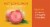 Fresh Mottled Plumcot Perspective: back