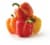 Aloha Bell Pepper Perspective: back