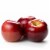 Large Rave Apple - Each Perspective: back