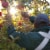 Autumn Glory Apple - Each Perspective: back