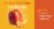 Fresh Yellow Nectarine Perspective: back