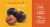 Black Plums Perspective: back