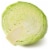 Green Cabbage Perspective: back