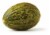 Santa Claus Melon Perspective: back