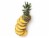 Fresh Ripe Whole Pineapple Perspective: back