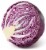 Red Cabbage Perspective: back