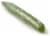 English Cucumber Perspective: back