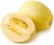 Spaghetti Squash Perspective: back