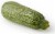 White Squash Perspective: back