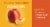 Organic Yellow Nectarines Perspective: back