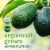 Organic Medium Avocado Perspective: back