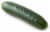 Organic Cucumber Perspective: back
