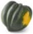 Organic Acorn Squash Perspective: back