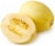 Organic Spaghetti Squash Perspective: back