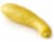 Organic Yellow Squash Perspective: back