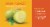 Fresh Green Plumcot - Each Perspective: back