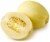 Organic Spaghetti Squash Perspective: back