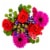 Bella Bouquet Perspective: back