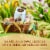 Ferrero Collection Crispy Cocoa Eggs Individually Wrapped for Easter Baskets Great Easter Gift Perspective: back