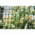 Tenax Garden Fence Green 3-ft X 25-ft Perspective: back