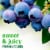 Simple Truth Organic® Blueberries Perspective: back