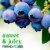 Simple Truth Organic® Blueberries Perspective: back