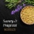 Private Selection® Herbes De Provence Shaker Perspective: back
