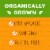 Simple Truth Organic® Oats & Honey Granola Cereal Clusters BIG DEAL! Perspective: back