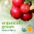 Simple Truth Organic® Fresh Cranberries Perspective: back