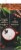 Private Selection™ Chai Spice Black Tea Latte Concentrate Perspective: back