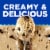 Kroger® Deluxe Cookies and Cream Latte Ice Cream Tub Perspective: back