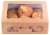 Bakery Fresh Goodness All Butter Mini Croissants Perspective: back