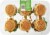 Bakery Fresh Goodness Caramel Apple Whippy Cupcakes Perspective: back