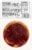 Kroger® Hickory Smoked Bacon Wrapped Tenderloin Filet Perspective: back