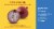 Simple Truth Organic® Red Onion 2 lb Bag Perspective: back
