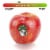 Private Selection Wild Twist® Apples – 2 Pound Bag Perspective: back