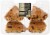 Private Selection™ Chocolate Chip Scones Perspective: back