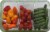 Private Selection Petite Pack with Peppers Tomatoes and Cucumbers Perspective: back