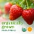 Simple Truth Organic® Fresh Strawberries Perspective: back