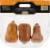 Private Selection® Honeynut Squash Perspective: back