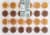 Bakery Fresh Vanilla & Chcolate Mini Spring Cupcakes Perspective: back