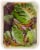 Simple Truth Organic® Little Gem Butter Crunch Salad Mix Perspective: back