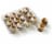 Bakery Fresh Graduation Chocolate & Vanilla Marbled Mini Cupcakes Perspective: back