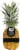 Private Selection® Super Sweet Gold Island Pineapple Perspective: back